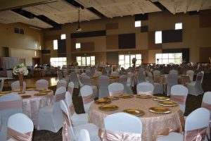 Wedding in Blue Bonnet Ballroom