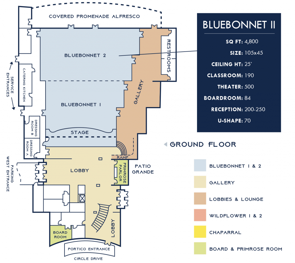 Bluebonnet 2